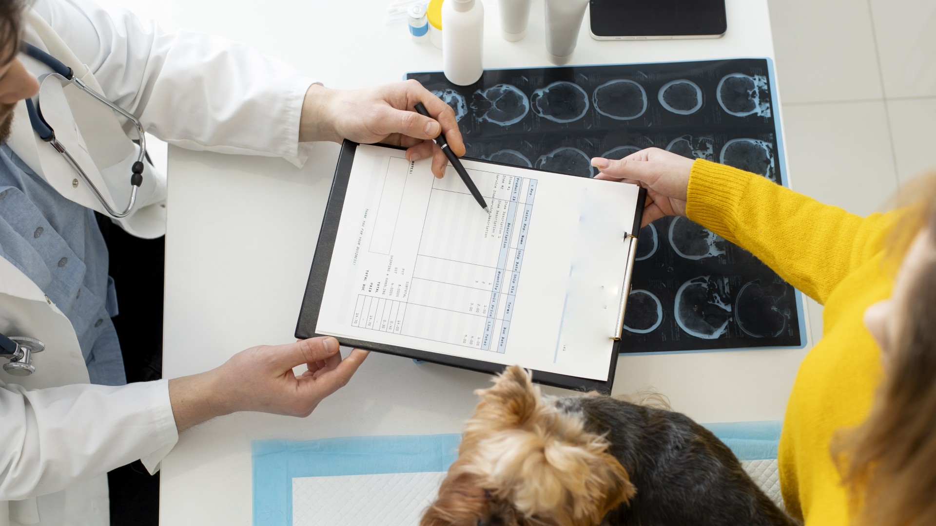 Pet XRay in Wichita Falls, TX A Caring Heart Veterinary