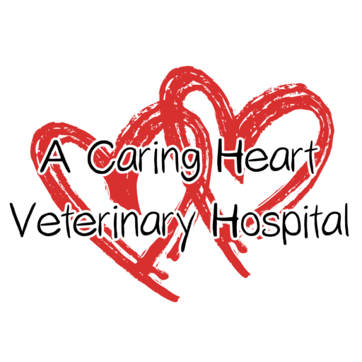A Caring Heart Veterinary Hospital logo