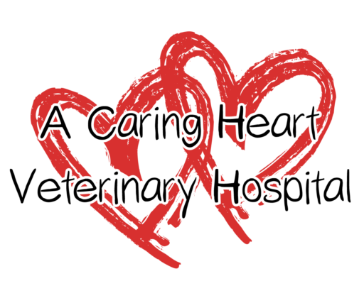 A Caring Heart Veterinary Hospital logo