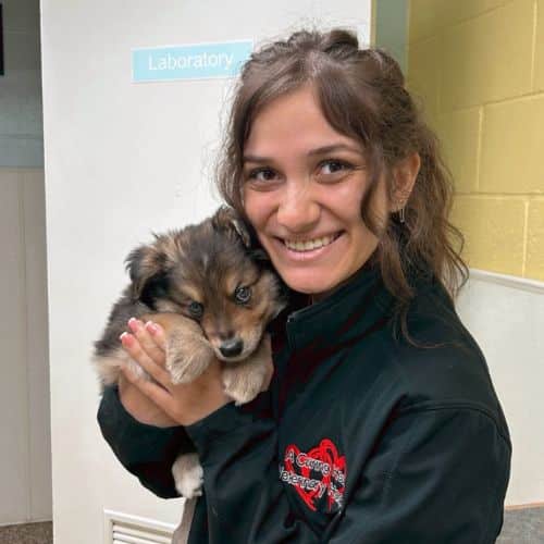 A woman gently cradles a small puppy in her arms